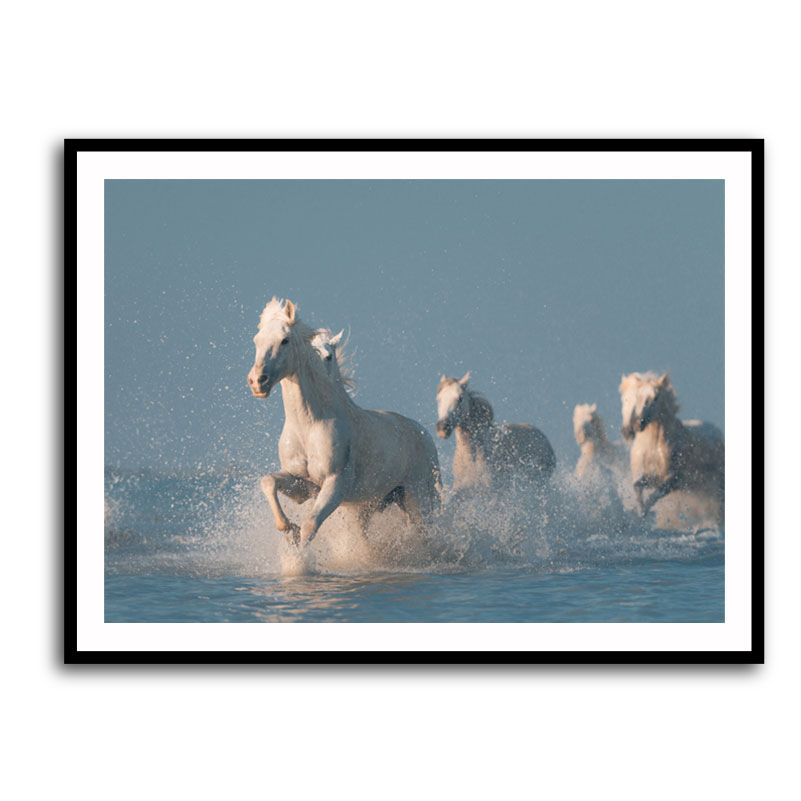 Framed Print 