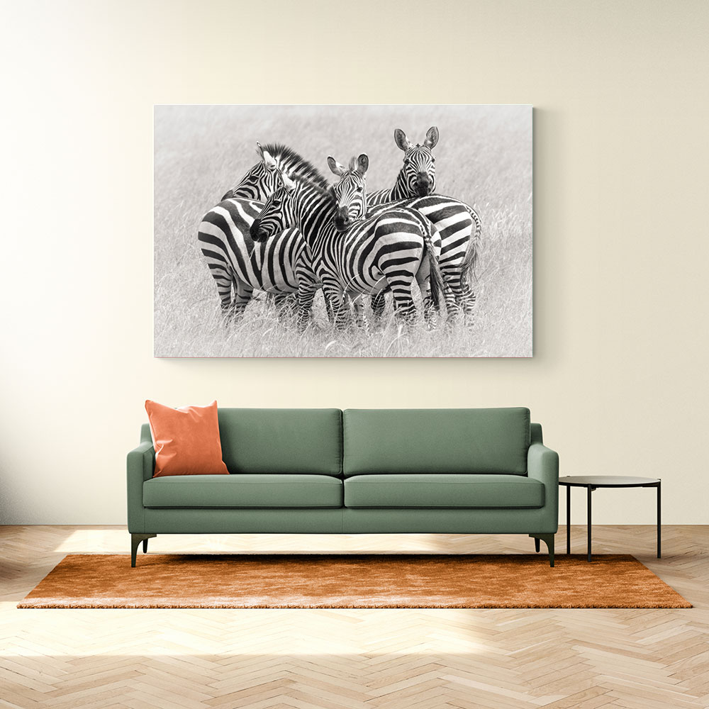 Zebras 2