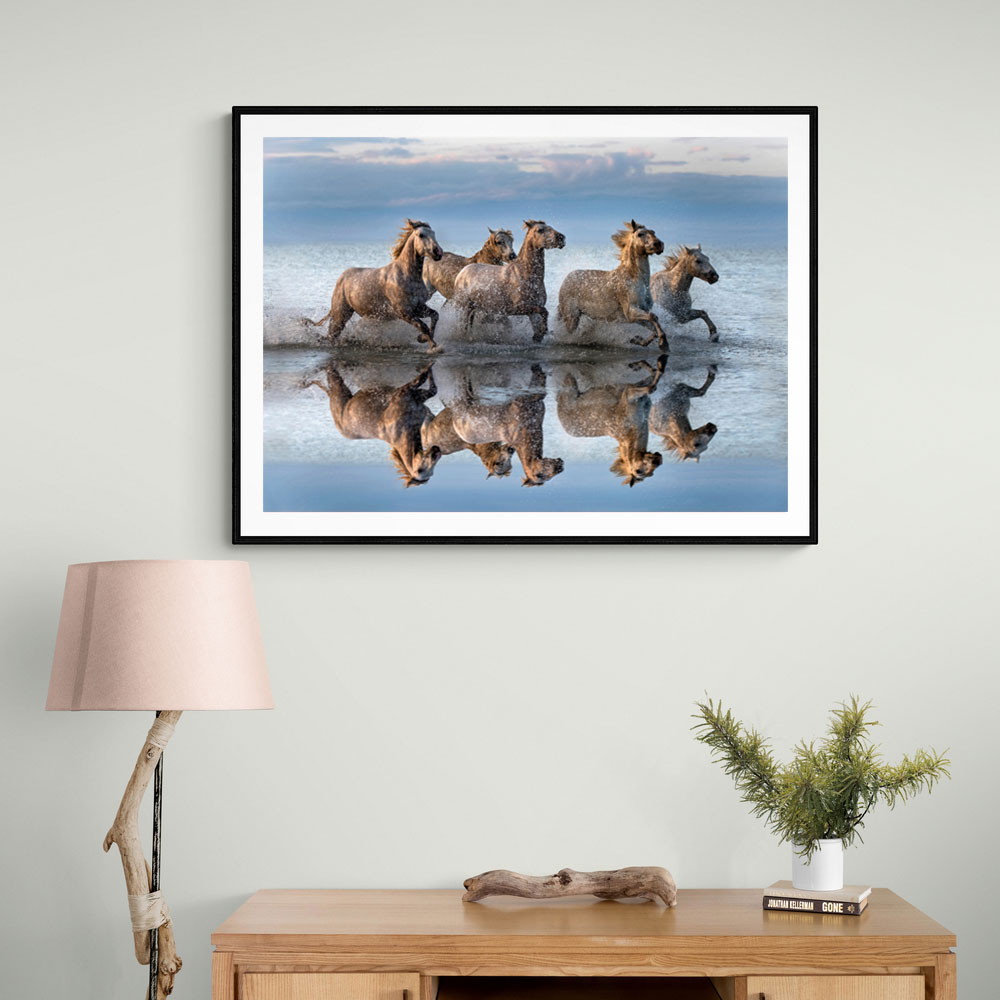 Horses Reflection Horses Reflection