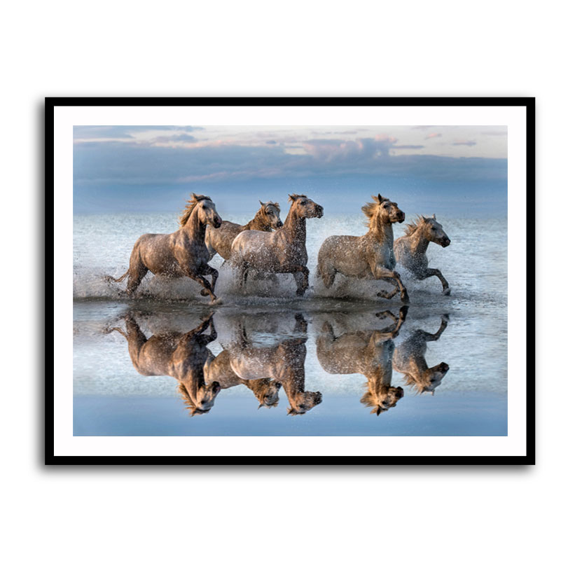 Framed Print 
