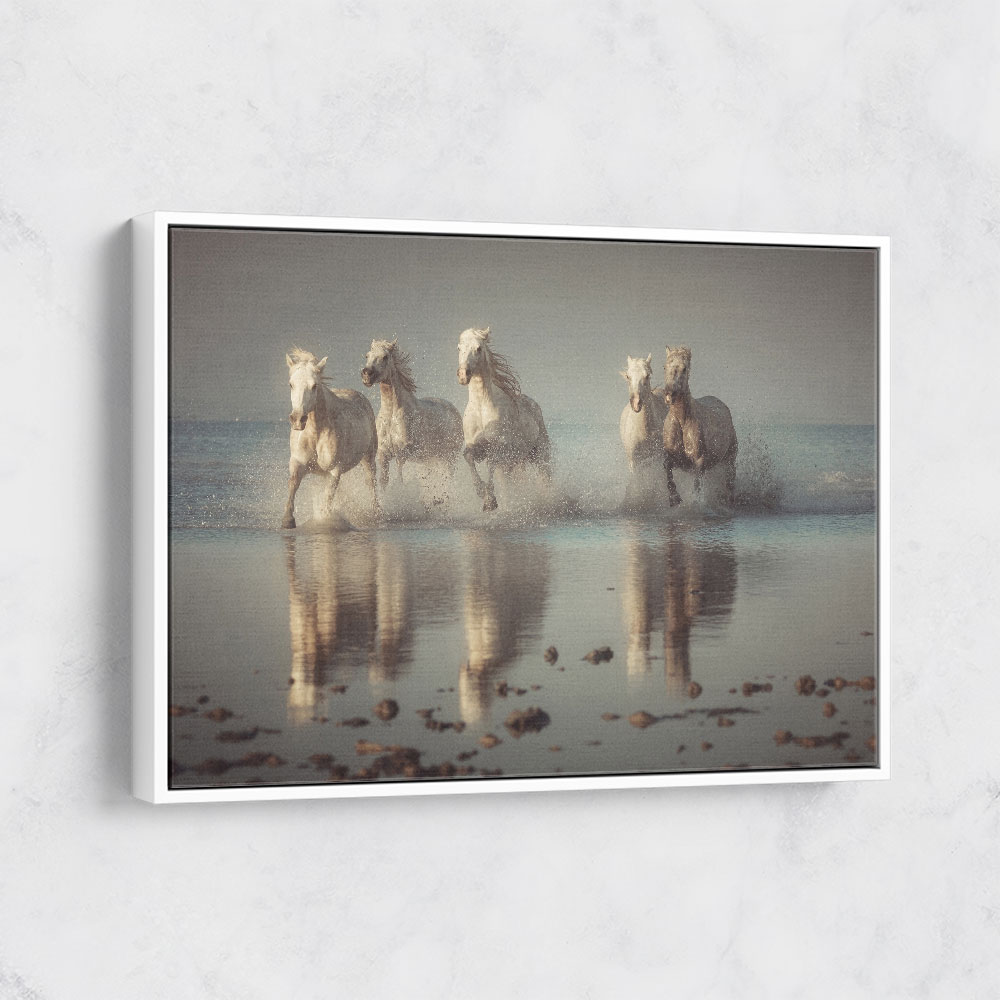 Camargue Horses