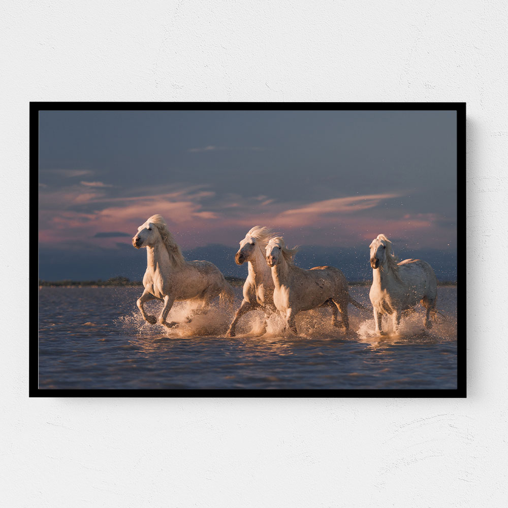 Angels of Camargue 2