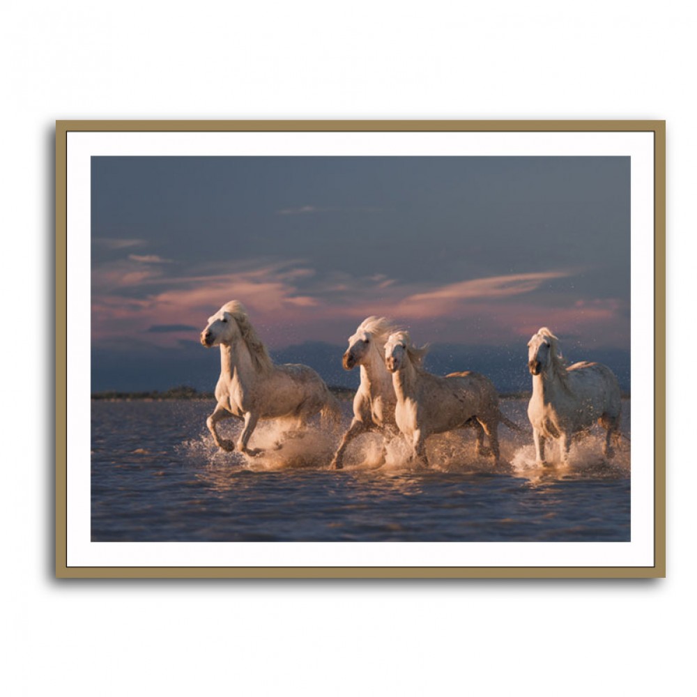 Angels of Camargue 2