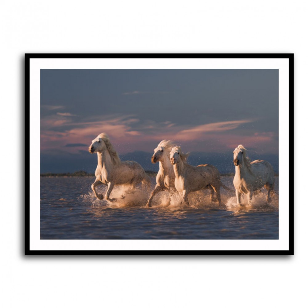 Angels of Camargue 2