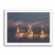 Angels of Camargue 2