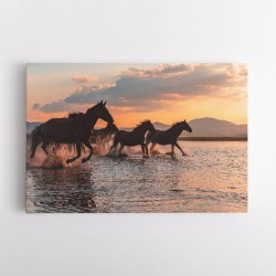 Water Horses