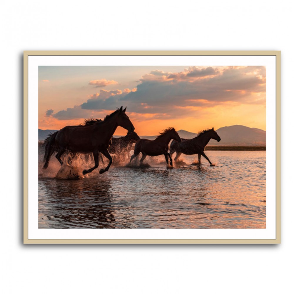 Water Horses