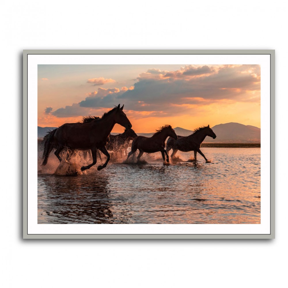 Water Horses