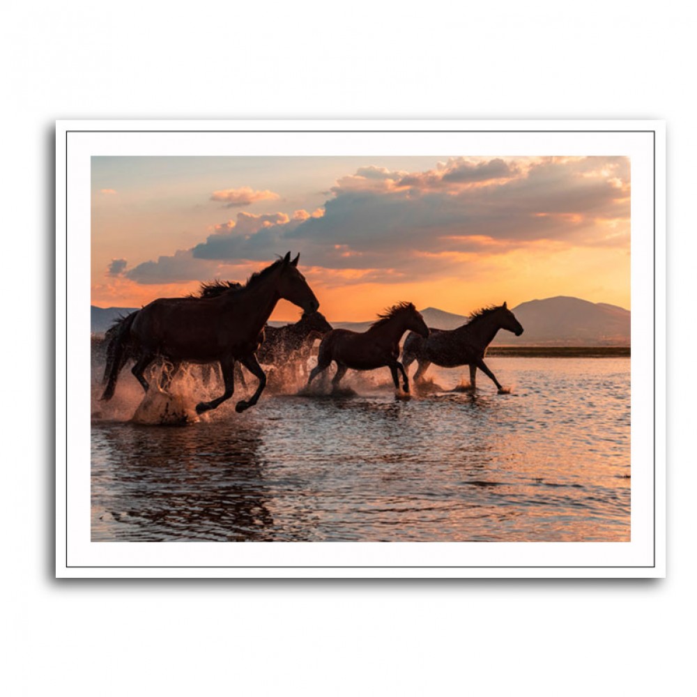 Water Horses