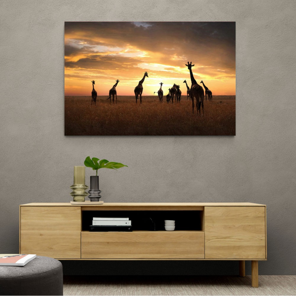 Giraffe Family Giraffe Family