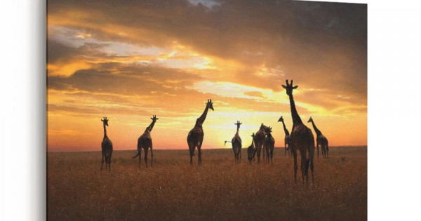Giraffe Family Wall Art