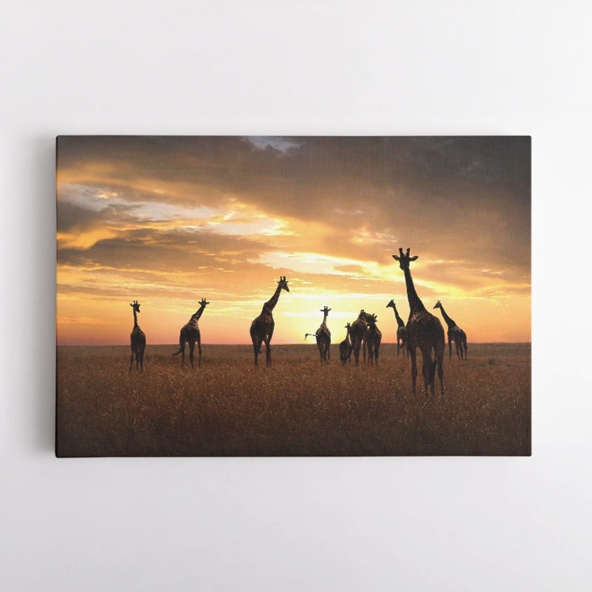 Giraffe Family Wall Art