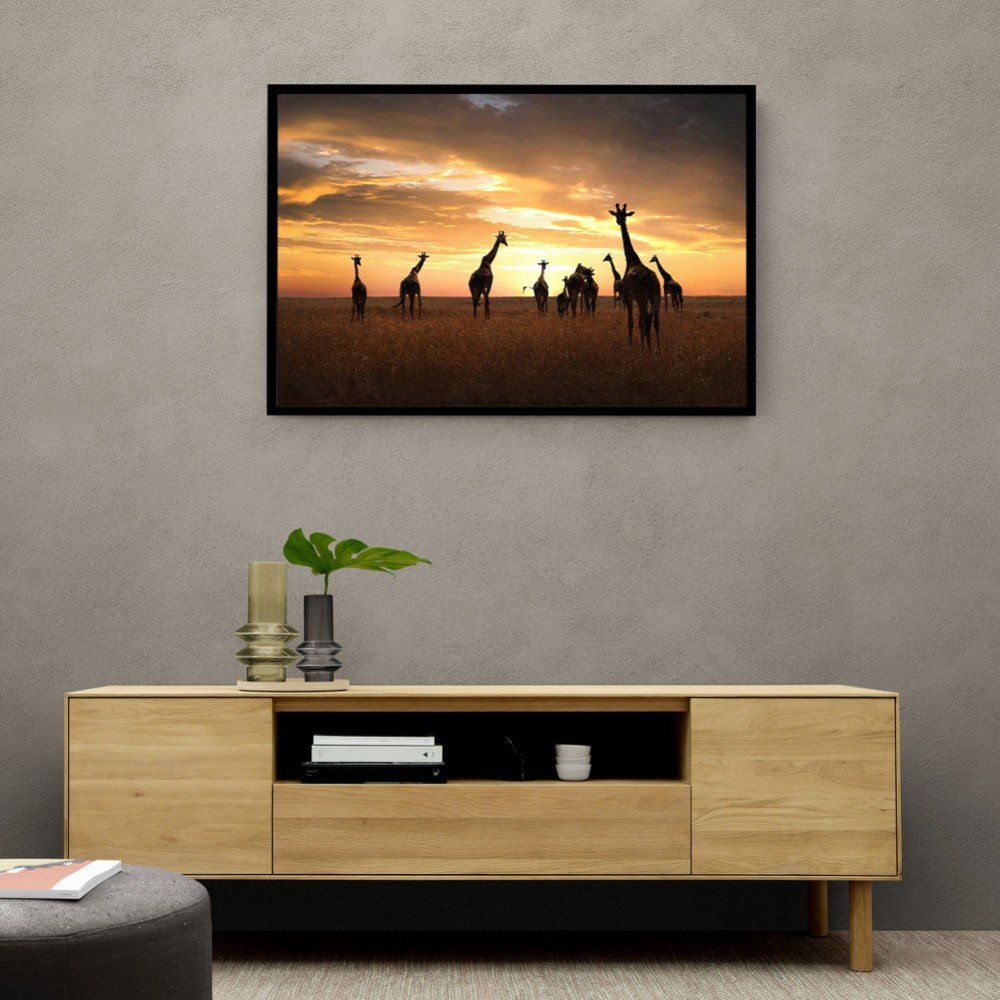Giraffe Family Giraffe Family