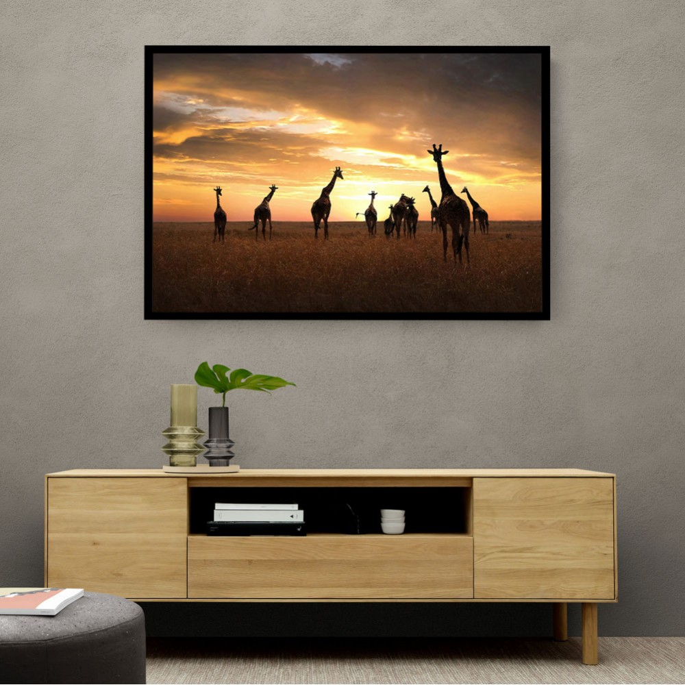 Giraffe Family Giraffe Family