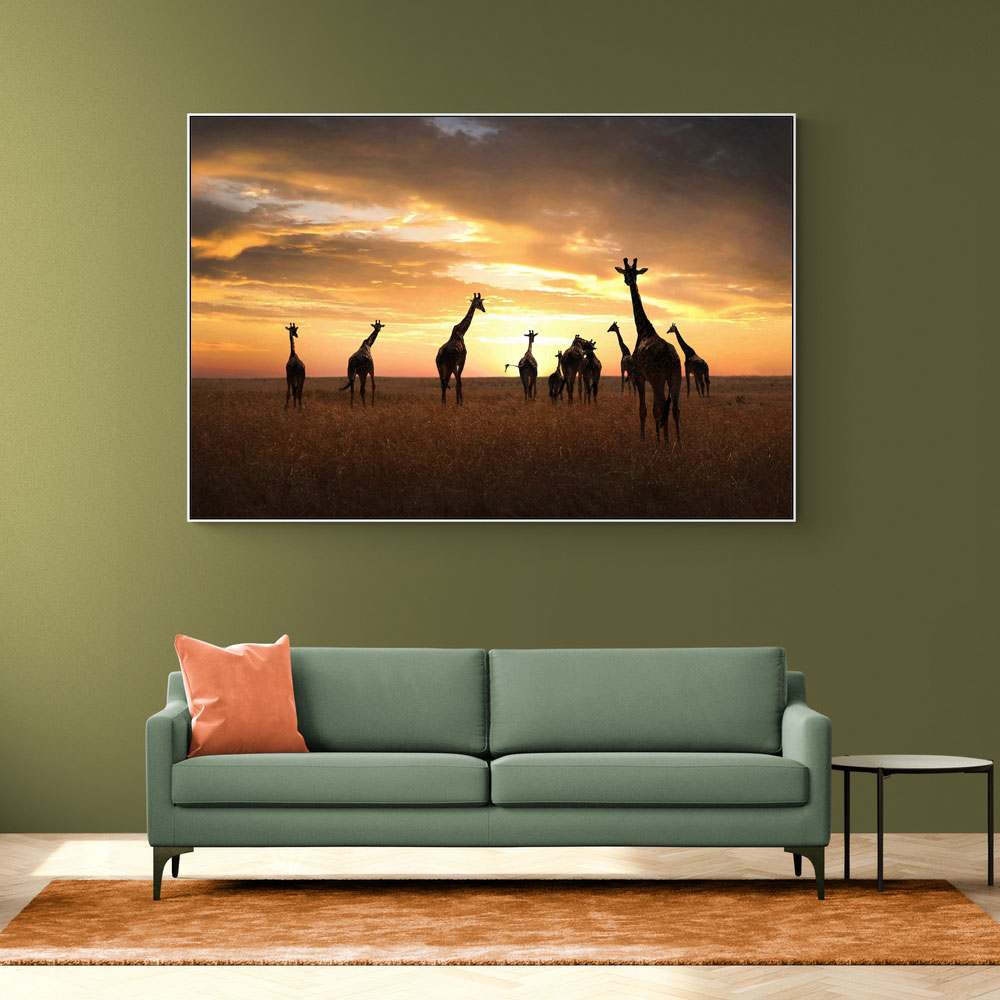 Giraffe Family Giraffe Family