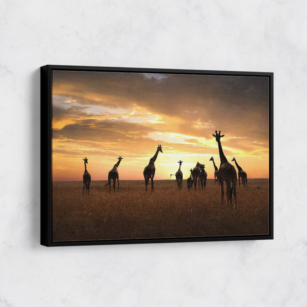 Giraffe Family Giraffe Family