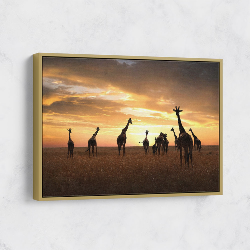Giraffe Family Giraffe Family
