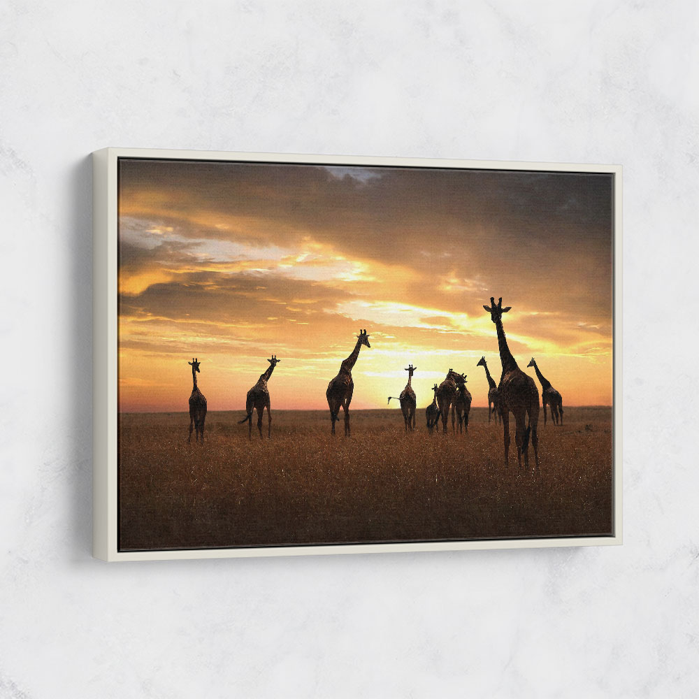 Giraffe Family Giraffe Family
