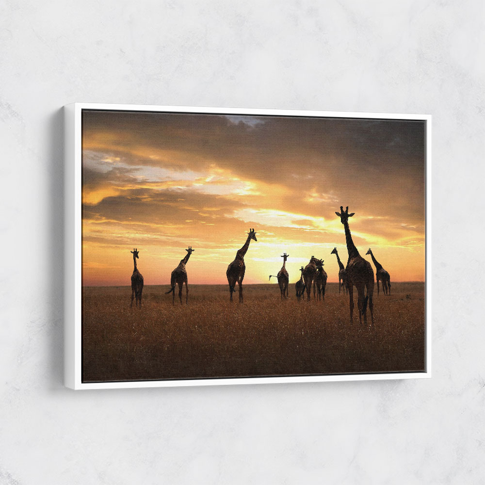 Giraffe Family Giraffe Family