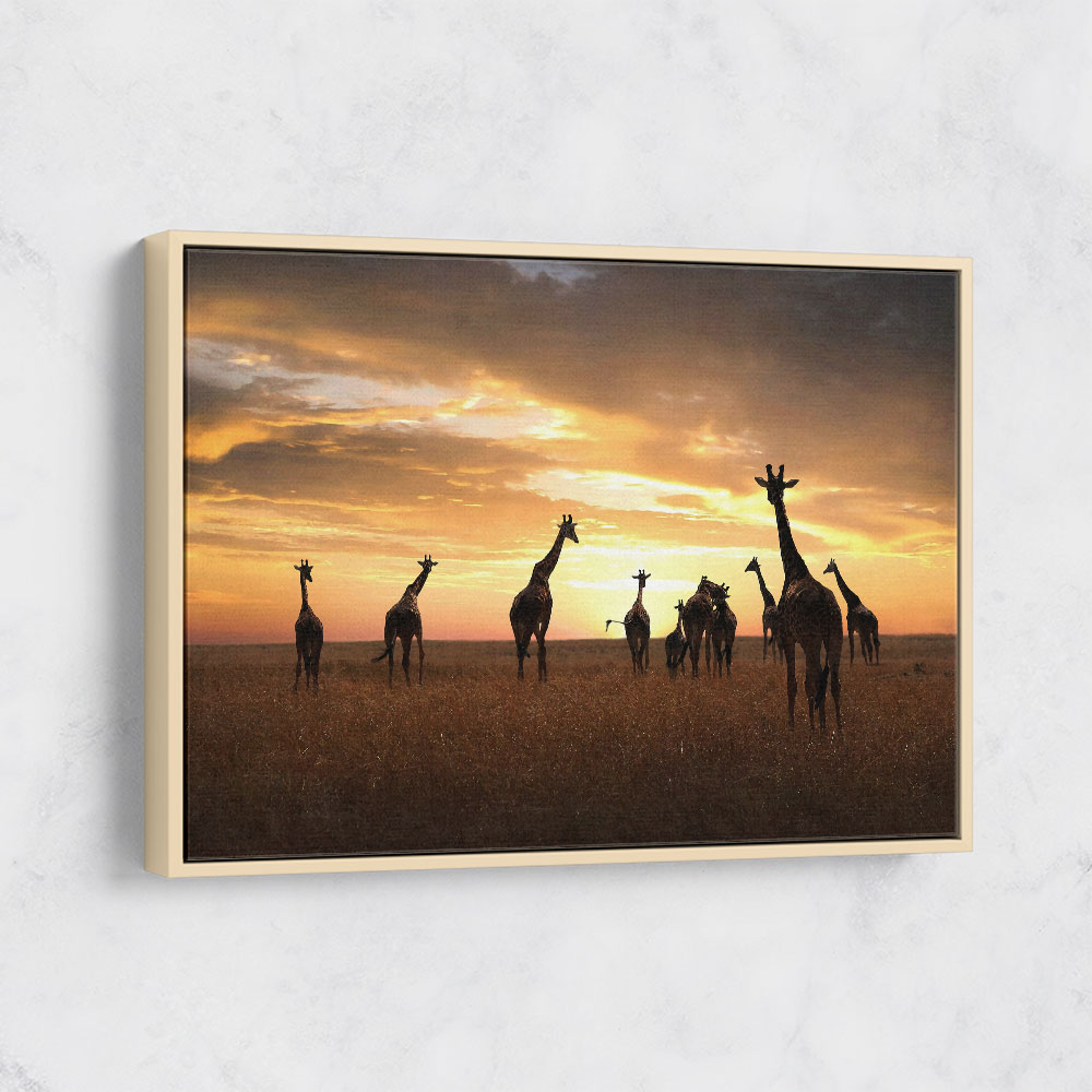Giraffe Family Giraffe Family