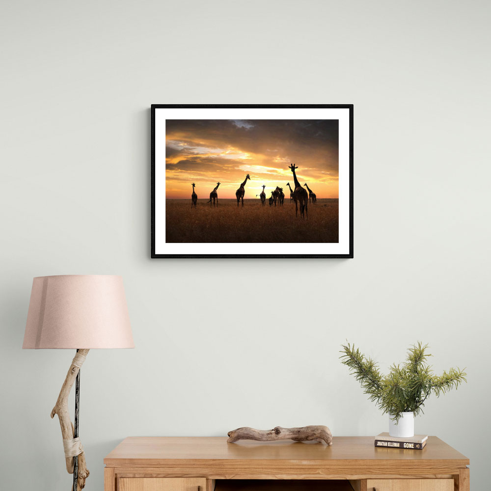 Giraffe Family Giraffe Family
