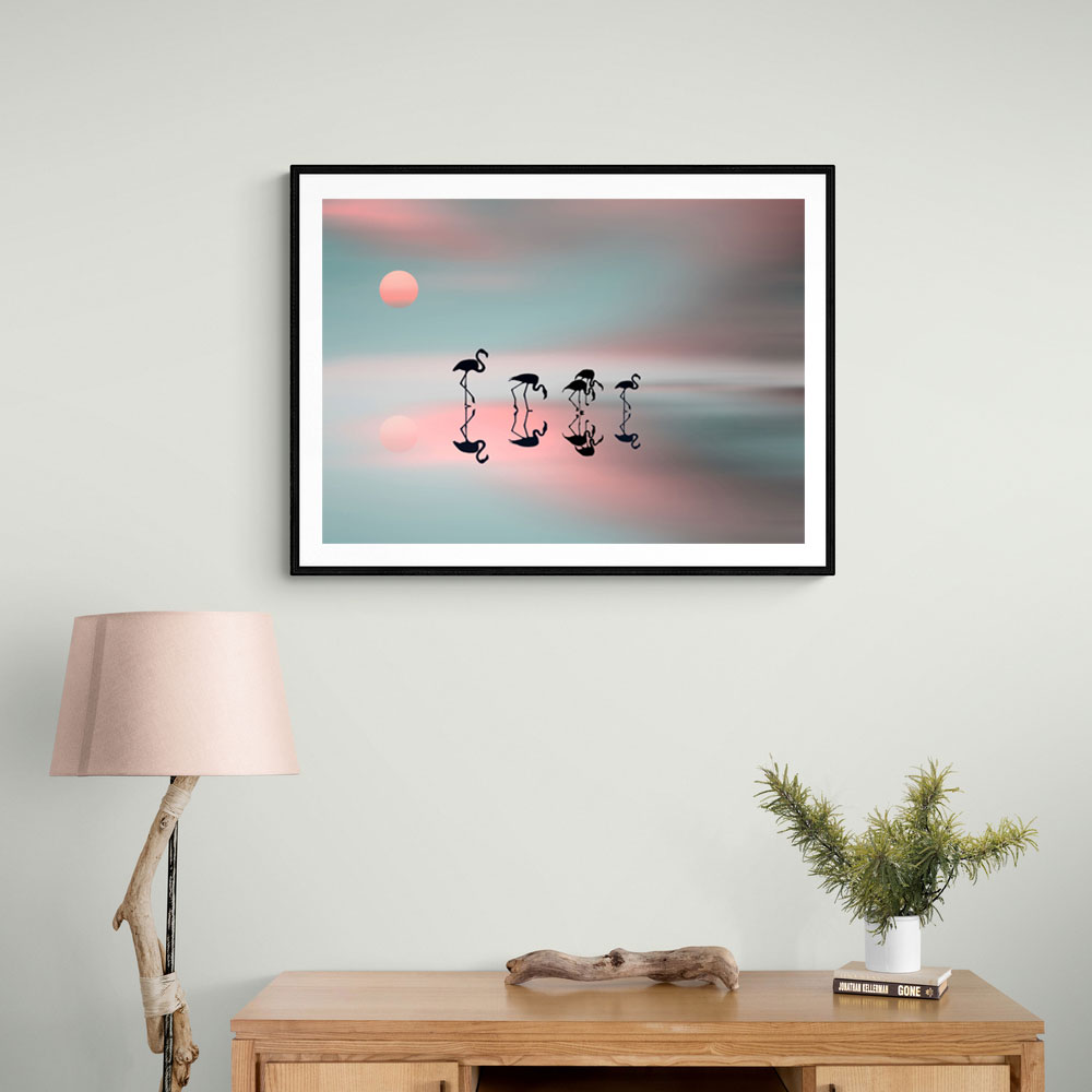 Family Flamingos