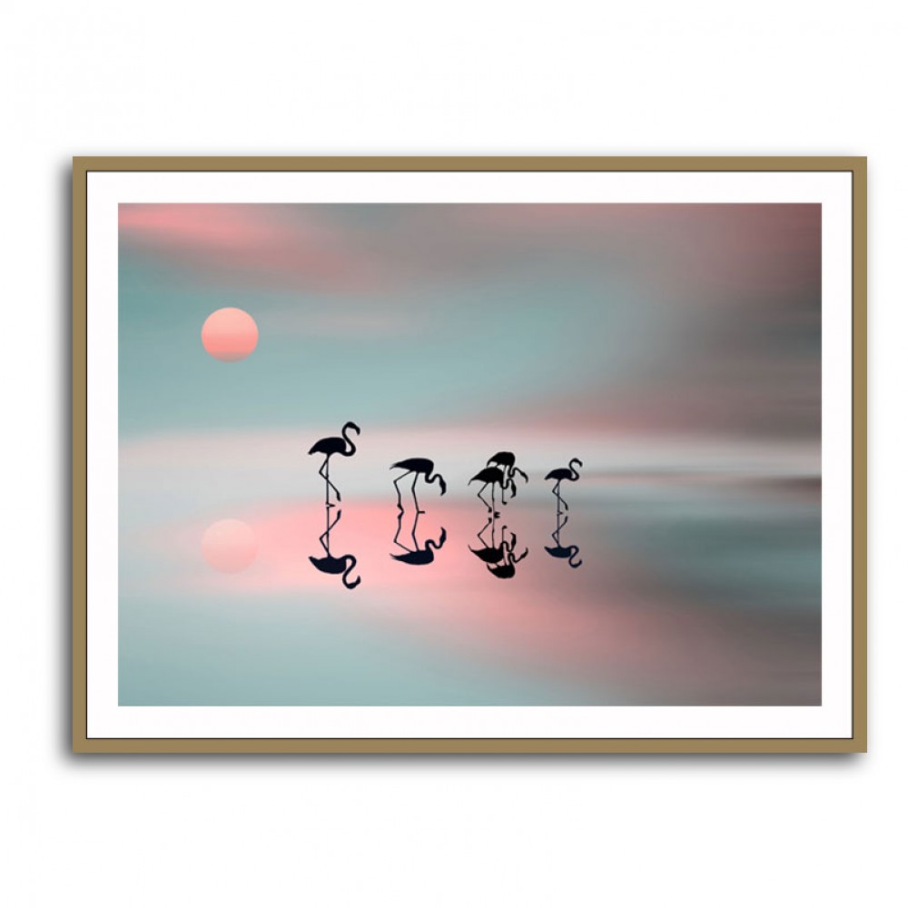 Family Flamingos