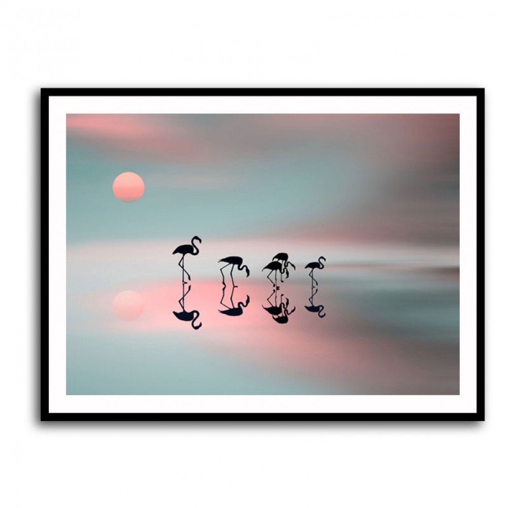 Family Flamingos