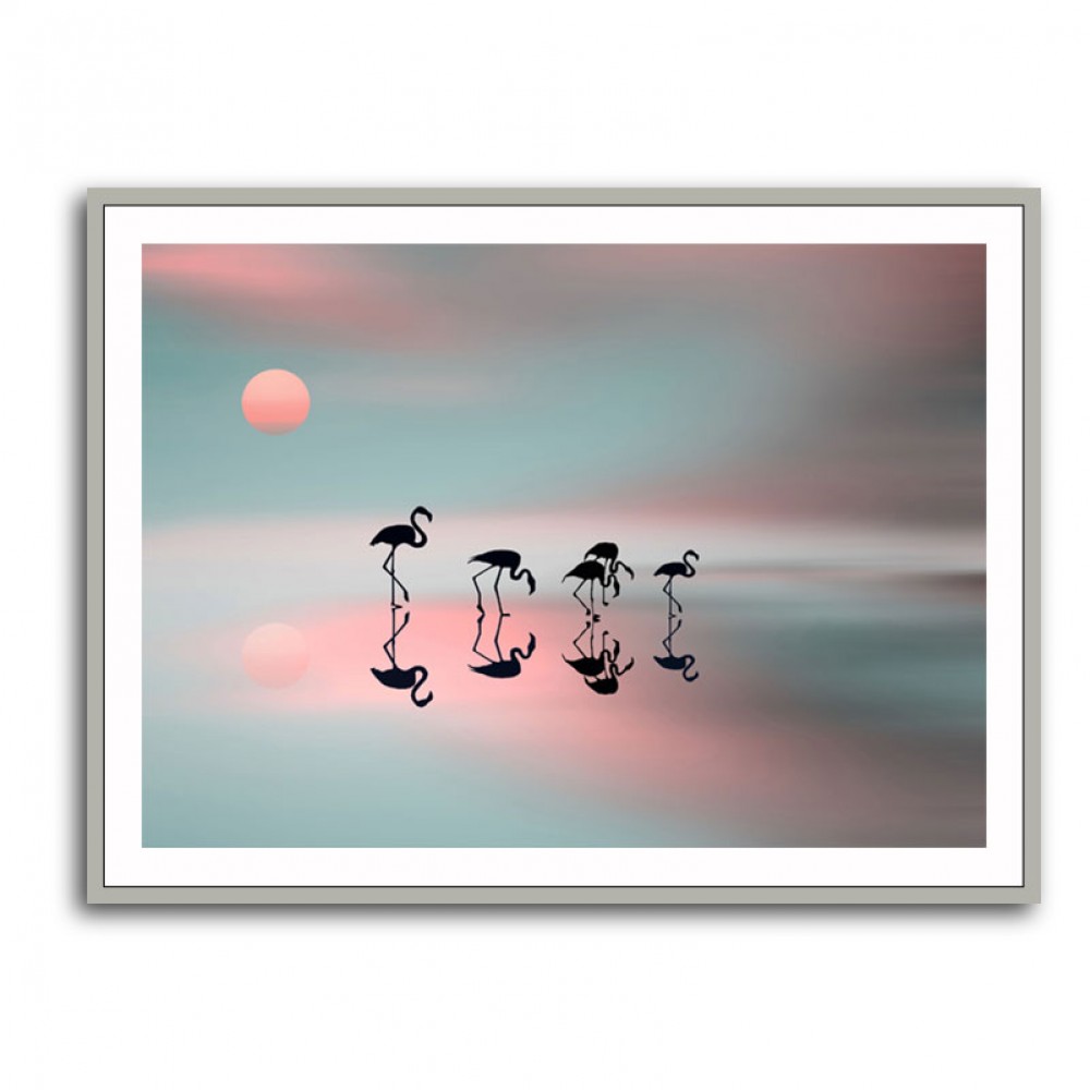 Family Flamingos