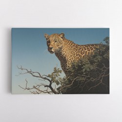 Tree Leopard