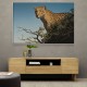 Tree Leopard Tree Leopard