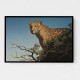 Tree Leopard Tree Leopard