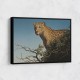 Tree Leopard Tree Leopard
