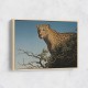 Tree Leopard Tree Leopard