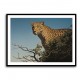 Tree Leopard Tree Leopard