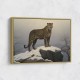 Mountain Snowy Leopard