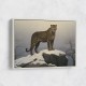 Mountain Snowy Leopard Mountain Snowy Leopard