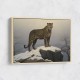 Mountain Snowy Leopard Mountain Snowy Leopard