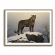 Mountain Snowy Leopard Mountain Snowy Leopard