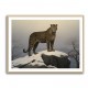 Mountain Snowy Leopard Mountain Snowy Leopard
