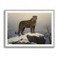 Mountain Snowy Leopard Mountain Snowy Leopard