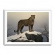 Mountain Snowy Leopard Mountain Snowy Leopard