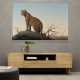 Mountain Leopard Mountain Leopard