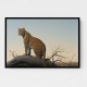 Mountain Leopard Mountain Leopard