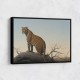 Mountain Leopard Mountain Leopard