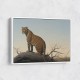 Mountain Leopard Mountain Leopard