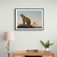 Mountain Leopard Mountain Leopard