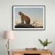 Mountain Leopard Mountain Leopard