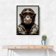 Cool Chimp Wall Art