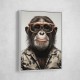 Cool Chimp Wall Art